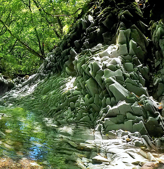 オーダーメイドツアー