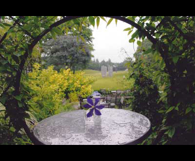 入選「雨のクレマチス」渡辺 晴美さん