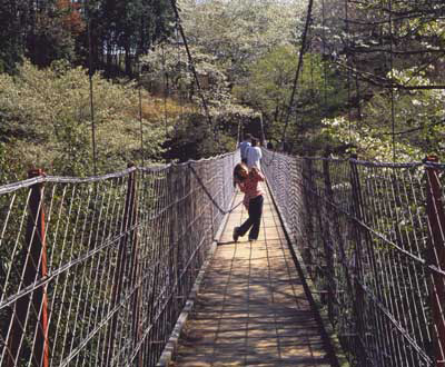 入選「可愛いでしょ」古見 真由美さん