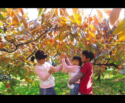 優秀賞「お兄ちゃ～んありがとう」杉本 弘美さん