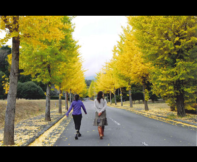 優秀賞「いちょう並木」渡辺 晴美さん