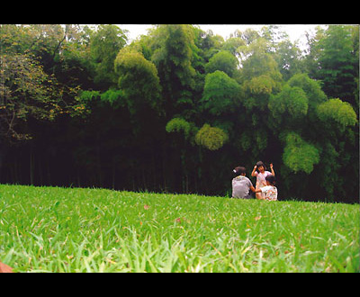 期間賞「新緑の世界」杉本 健さん