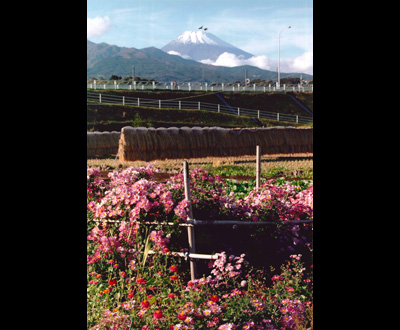 最優秀賞「晩秋」松崎雅敏さん