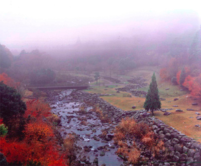 入選「雨上がりの桃沢」衛藤一男さん