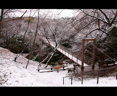 入選「早春雪の朝」井出 徹夫さん