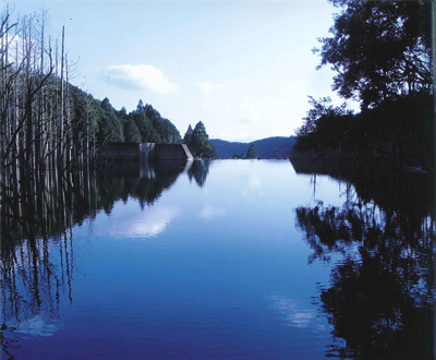 入選「水と静寂」峰田 知左子さん