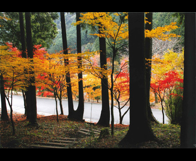 最優秀賞「秋彩」西島 義昭さん