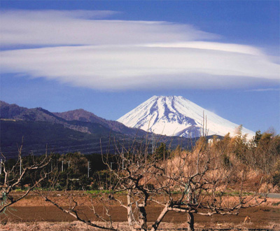 入選「冬の光」衛藤 一男さん