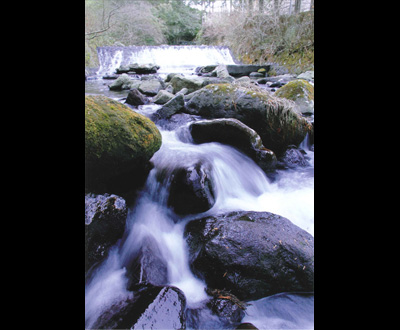 入選「白い川」秋山 沙紀さん