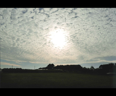 入選「芝畑の夕暮れ」桑原 千代乃さん