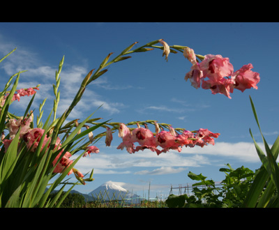 入選「世界遺産誕生日」藤井 正勝さん