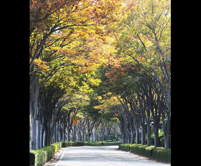 入選「秋色のトンネル」芳賀 信吉さん