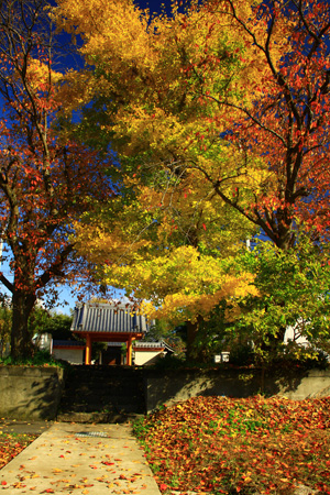 優秀賞「錦秋」勝又安秋さん