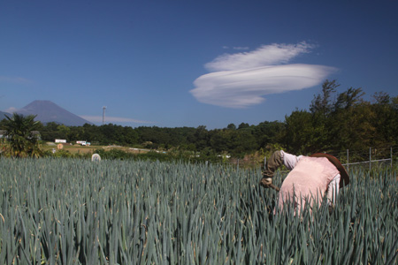 カルタ賞「十月の空に」吉岡五郎さん