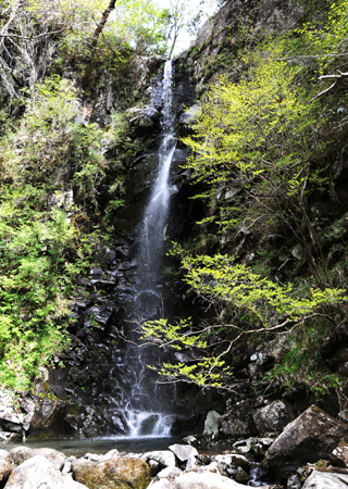 ジオサイト賞「新緑のジオサイト」芳賀信吉さん