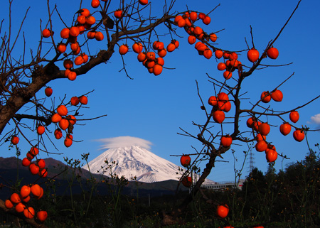 入選「晩秋」西島義昭さん