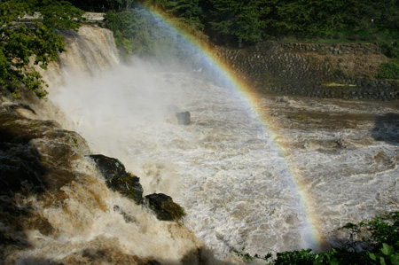 入選「虹の架け橋」藤井正勝さん