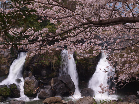 入選「陽春の滝」小南康男さん