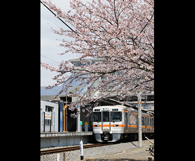 最優秀賞「旅立ちの４月」芳賀信吉さん