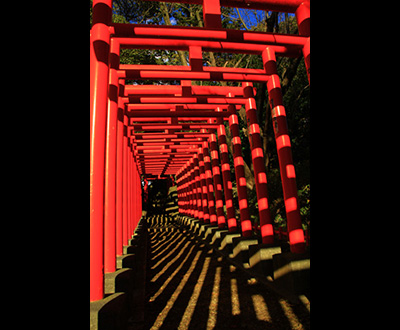 入選「神々」勝又安秋さん