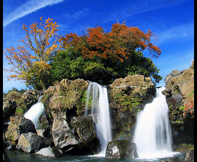 優秀賞「初冬の彩り」衛藤一男さん