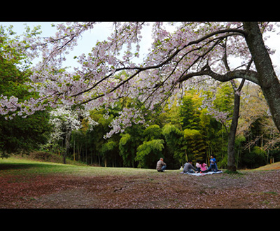 入選「好日」西島義昭さん