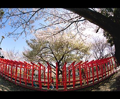 最優秀賞「春日」西島義昭さん