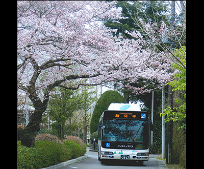 入選「スルガ平　桜の門」長尾貴志さん
