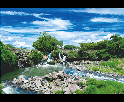 入選「鮎壺の夏」中尾田真由美さん