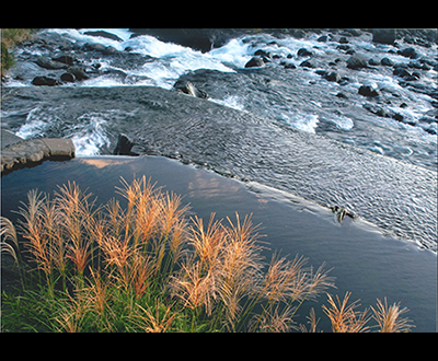 入選「長泉町の四季の風景」鈴木敬盛さん
