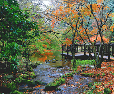 優秀賞「移ろいの時」衛藤一男さん