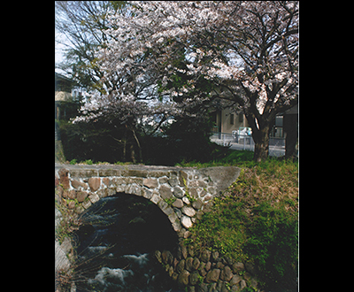 入選「木村翁架橋」吉岡五郎さん