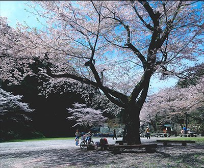 入選「午後の一時」佐藤和代さん