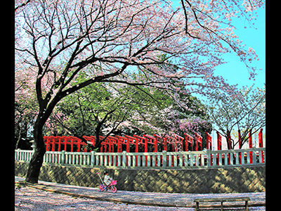 最優秀賞「春日和」衛藤一男さん