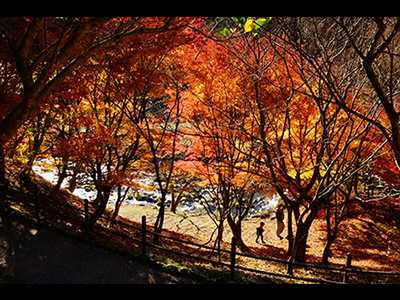 入選「帰り道」高橋裕さん