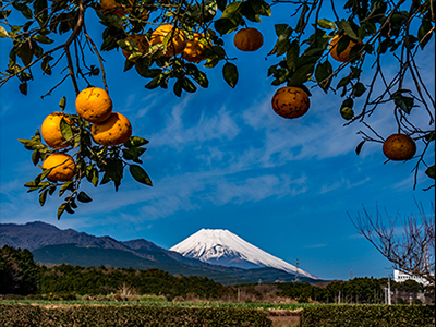 入選「昼下がり」西島義昭さん