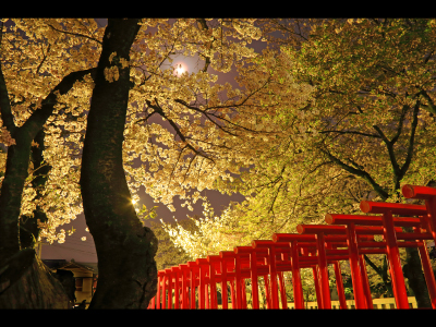 最優秀賞「月光」西島義昭さん