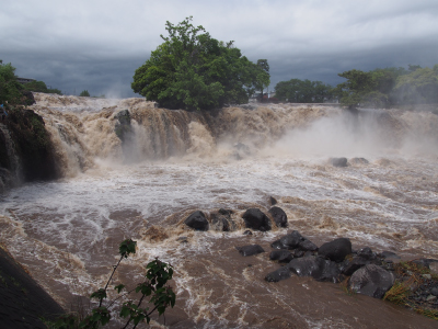 入選「台風の後のファンタスティック」後藤伊佐夫さん