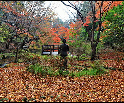 風景賞「杜の女神」佐藤和代さん
