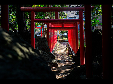 入選「神域」増田義隆さん