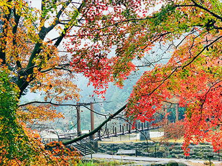インスタ賞「もんざわ橋」勝又佳代さん