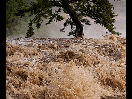 入選「奇跡の一本松in鮎壺」鈴木敬盛さん