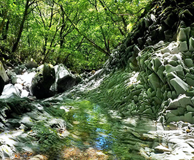 優秀賞「竜の避暑地」飯原俊治さん