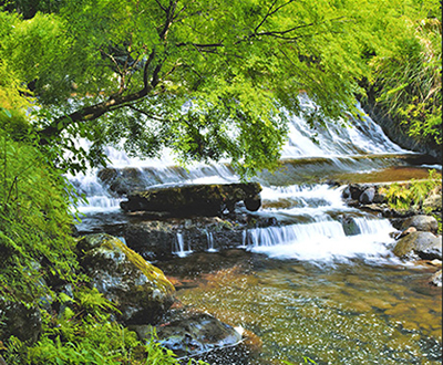 ジオパーク賞「水無月の渓流」衛藤一男さん