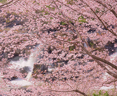 最優秀賞「春渓」岩浅利泰さん