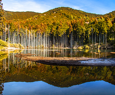 風景賞「水面の映り」 細川純也さん