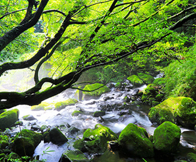 入選「清々しい朝」衛藤一男さん