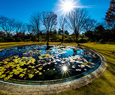 入選「輝く庭園」増田義隆さん