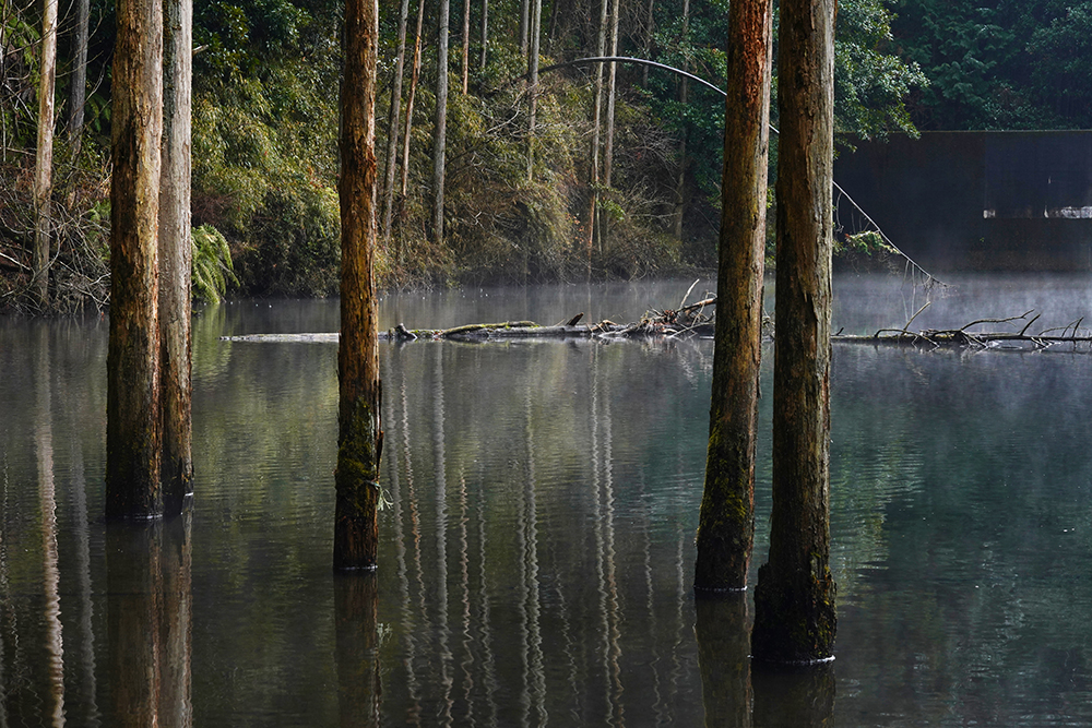 風景賞「霧漂う」藤川明雄さん