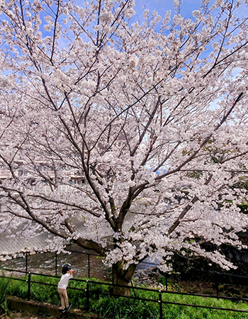 インスタ賞「櫻の下でまちぼうけ」青柳快さん